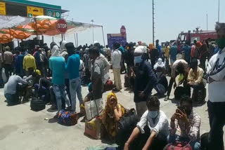 Workers arriving in trucks from Gujarat