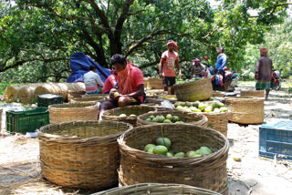 ছবি