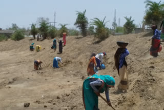 Work started under MNREGA scheme in Sehore