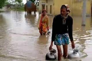 জলমগ্ন কলগাছিয়া