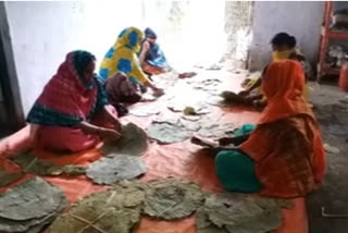 Sakhua leaves are used to make plate for food meals