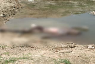 Dead body of unidentified youth found in a pond in palamu