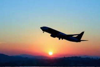 Domestic flights to resume from May 25