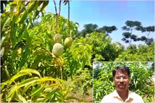 Diploma graduate had success in agriculture