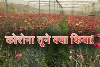 loss to flowers cultivators due to lockdown