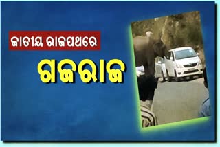 elephant-attacked-vehicles-in-ramnagar