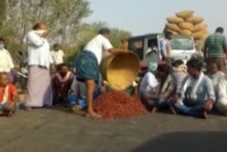 mirchi farmers