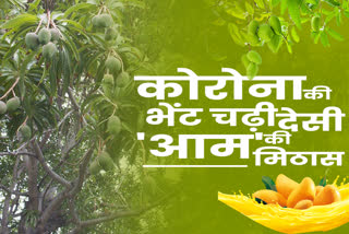 करौली के आम बगीचे, Mango Gardens of Karauli