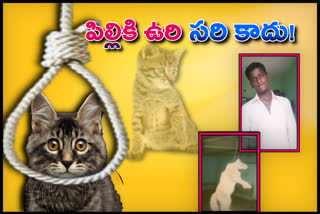 18-year-old arrested for posting hanged cat for TikTok video