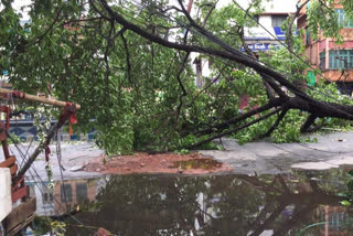 Bengal Calls For Army Support For Restoring Infrastructure Hit By Cyclone