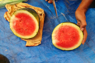 Demand for sweet watermelon in Navsari