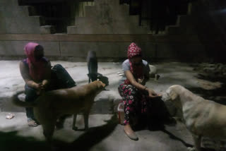 Mother and daughter of Dwarka Mahavir Enclave feeding 30 stray dogs in LOCKDOWN