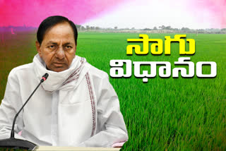 chief-minister-kcr-conducted-a-review-on-regulated-cultivation-policy