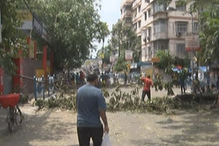 Cyclone Amphan: Agitated locals in Kolkata demand restoration of power, water supply