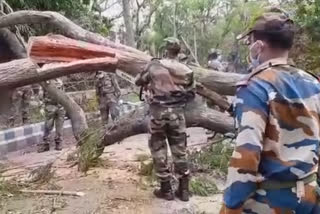 Army deployed in cyclone-ravaged Odisha for restoration work