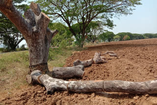 kagaznagar tress chopped kagaznagar tress chopped issue