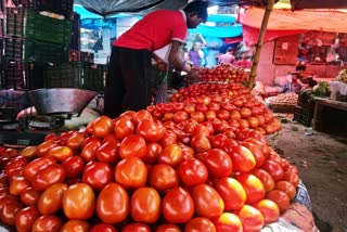 Tomatoes selling below Re 1 per kg in Delhi wholesale markets  Tomatoes selling below Re 1 per kg  tomato prices  business news  டெல்லி காய்கறி விலை  தக்காளி விலை  காய்கறி விலைகள்