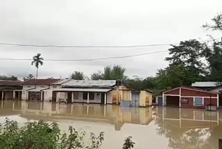flood at tazpur balipara dhamaji no- 15