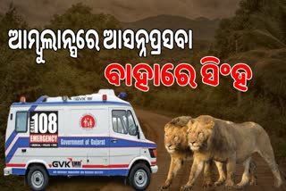 girsomnath-baby-born-in-ambulance-because-lions-blocked-the-road