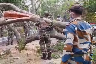 Indian Army, NDRF conduct restoration work in Kolkata after cyclone Amphan