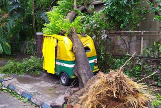 Utilities of cyclone-hit Bengal directed to restore power