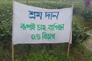 commendable step by a tea garden workers at Doomdooma