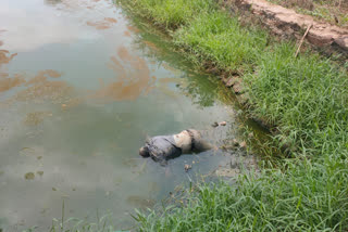 construction workersuicide in taadepalligudem west godavari district