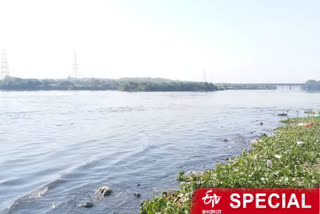 yamuna view after relief in lockdown