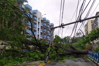 Cyclone Amphan  Telecom restoration  Amphan news  ഉംഫാൻ ചുഴലിക്കാറ്റ്  വൈദ്യുതി വിതരണം  ടെലികോം സംവിധാനം  പശ്ചിമ ബംഗാൾ