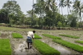 nagai farmers suffers in farming due to transformer issue