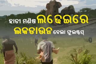 ହାତୀ ମଣିଷ ଲଢ଼େଇରେ ପୂର୍ଣ୍ଣଛେଦ ଟାଣିଲା ଲକଡାଉନ, ବାହାରିଲା ବିକଳ୍ପ ବାଟ