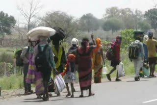 migrant workers crowd on maharashtra chhattisgarh border