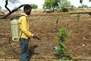 Agricultural experts Rameshwar Chandak on Govt moves to ban 27 pesticides subject