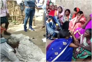 1 young man died due to snake bite in garhwa