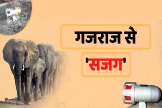 elephant terror in Chhattisgarh