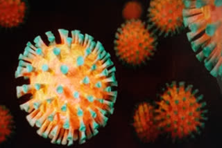 coronavirus