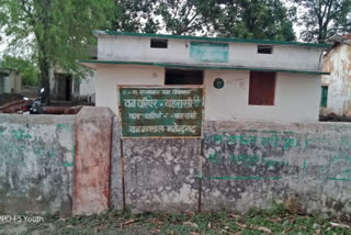 Tendu leaf collection work started in Small Forest Produce Committee in koriya