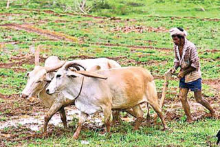 awareness on new agriculture policy for farmers in kamareddy