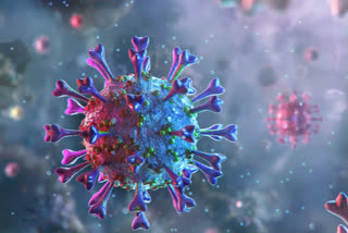 Global coronavirus count  5.3 million, toll over 342,000  ആഗോളതലം  കൊവിഡ് കേസുകളുടെ എണ്ണം  ജനീവ