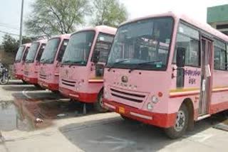 haryana roadways mini buses