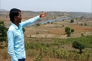 Plantation on the banks of river Narmada