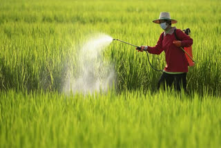 END TO LETHAL PESTICIDES