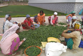 women selling vegetable in quarantine center