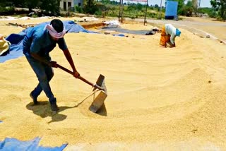 jayashankar bhupalapally farmers facing problems in paddy purchase centers