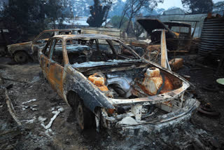 australia bushfire, impact of australia bushfire, 445 dead in australian bushfire, ଅଷ୍ଟ୍ରେଲିଆ ବୁଶଫାୟାର, ଅଷ୍ଟ୍ରେଲିଆ ବୁଶଫାୟାରର ପ୍ରଭାବ, ଅଷ୍ଟ୍ରେଲିଆ ବୁଶଫାୟାରରେ 445 ମୃତ