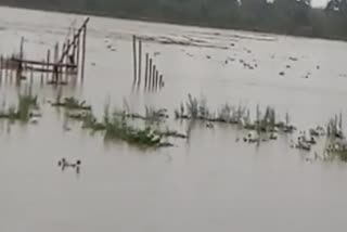 The Zubeen Garg Bridge destroy by Na Dihing river