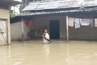 Flood in Nalbari