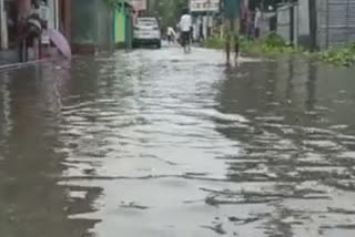 State BJP president Ranjit Kumar Das's hometown Barpeta Road Affected by artificial flood