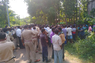 ಕುರಿಗಾಹಿಯನ್ನು ತಿಂದ ಹುಲಿ