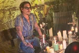 Johnny depp completed painting after 14 years amid lockdown